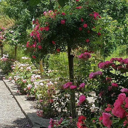 Domaine Les Rousselieres Villa Olonne-sur-Mer Buitenkant foto