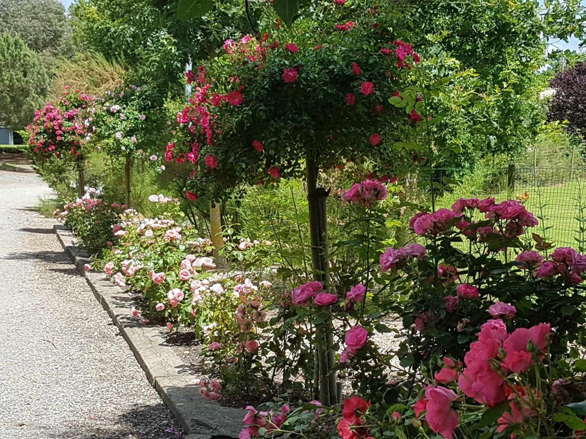 Domaine Les Rousselieres Villa Olonne-sur-Mer Buitenkant foto