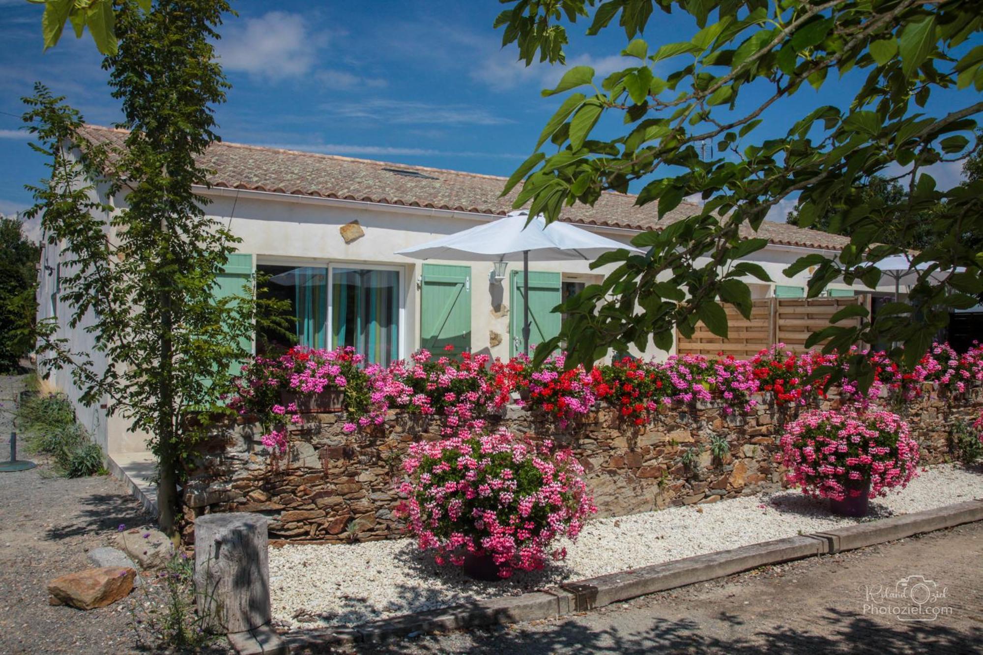 Domaine Les Rousselieres Villa Olonne-sur-Mer Buitenkant foto
