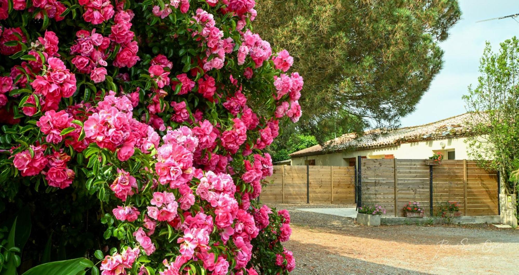 Domaine Les Rousselieres Villa Olonne-sur-Mer Buitenkant foto