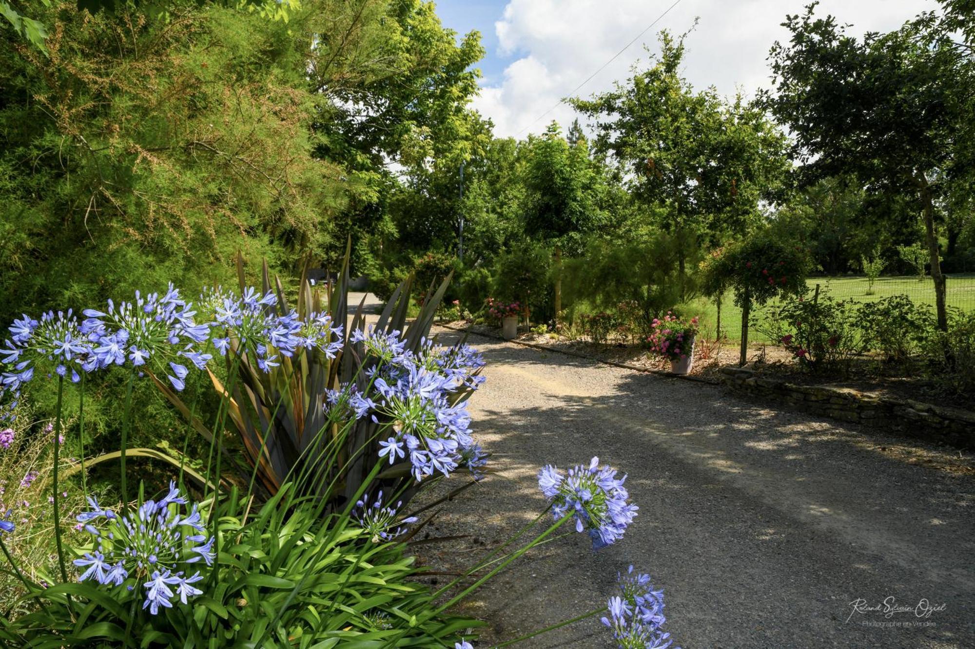 Domaine Les Rousselieres Villa Olonne-sur-Mer Buitenkant foto